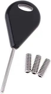 Surfing Set - 1 Key + Screws for S – Great & Key Replacement
