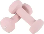 HANABASS 2Pcs Weights Dumbbells Cast Hand Weights for Home Gym Exercise and Strength Training Coated for Non Slip Grip and Enhanced Durability