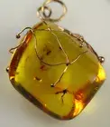 585 Gold Pendant with Insect Fossil Inclusion GNAT Genuine BALTIC AMBER 4,97gr