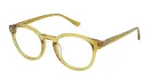 Lozza VL4293V Taormina 1 0B86 Men's Glasses Yellow Size 50 - Private Health Rebate - Blue Light Block Available