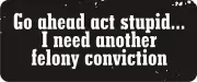 3 - Go Ahead Act Stupid...I Need Another Felony Conviction R BS164