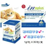 【心寵兒寵物生活館】IN+PLUS L-LYSINE 貓用離胺酸 30G/盒（1GX30包入）~貓保健食品