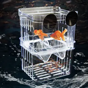 塑料魚養殖隔離保護箱水族箱炸魚孵化場