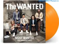 在飛比找Yahoo!奇摩拍賣優惠-The Wanted Most Wanted: The Gr