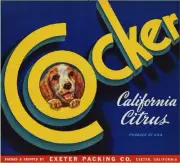 Exeter Cocker Spaniel Dog Orange Citrus Fruit Crate Label Art Print