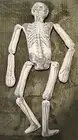 John Derian for Target Threshold Skeleton Pillow Long Lost Friend Halloween 63"
