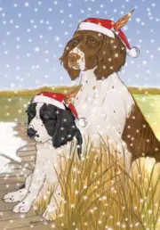 English Springer Spaniel Christmas Cards Set of 10 cards & 10 envelopes
