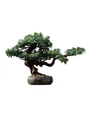 [Vicky Yao] Natural Artificial Bonsai Art in Lotus Medium Pot