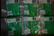 80-88DP WH - Screws & Anchors Mounting Hardware, 1 1/2” White - (10 Packs,60EA)