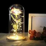 IRONA Beauty and The Beast Rose in Glass Dome with LED Lights, Everlasting Crystal Rose Flowers, Birthday Gifts for Women, Christmas Valentine's Day Mother's Day Birthday Best Gifts