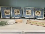 4 Piece Wall Art Sea Shell Pictures