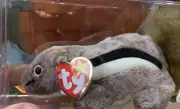 TY BEANIE BABY 1999 "CHIPPER" THE CHIPMUNK RETIRED W/ HOLOGRAM, RARE, Errors