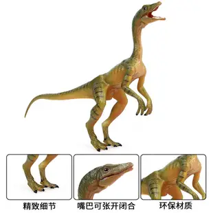 ♛卡洛熊♛侏羅紀仿真實心靜態恐龍秀顎龍模型玩具 霸王龍恐龍動物塑膠模型擺件 蒙特梭利教具 場景模型擺飾