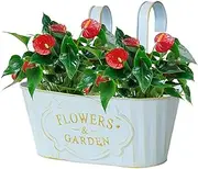 Railing Planter - Hanging | Planter for Balcony and Outdoor Country Window Hanging Over Railway Pots Home Balcony Porch Fence Decor