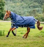 Horseware Amigo Bravo 12 Plus Turnout Medium 250g