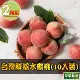 【享吃鮮果】台灣鮮採水蜜桃2箱(10入裝/1kg±10%/箱)