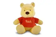 Disney Baby Winnie The Pooh - Plush M