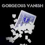 🔥賣場熱銷🔥視覺化消失紙牌GORGEOUS VANISH 近景撲剋短視頻效果震撼魔術道具