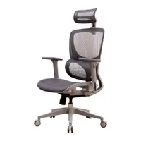 在飛比找松果購物優惠-概念家居 舒適完美人體工學電腦椅 辦公椅 全網椅 書桌椅 電