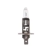 Narva H1 Performance Globe 12V 55W Plus 60 P14.5S Headlamp Light for Audi