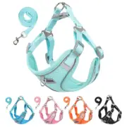 Pet Dog Harness Leash Set Small Medium Cat Chest Strap Reflective Walking Vest
