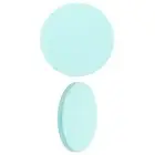 2Pcs 3.9" Round Diatomaceous Coasters for Plants Drink, Green