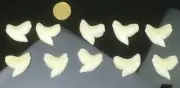Shark Tooth loose Large bulk lot tribal artefact making 10pcs #LTtiger10x
