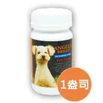 *COCO*天使牌ANGEL'S BRIGHT淚腺通1OZ(粉狀)犬貓保健品/營養品