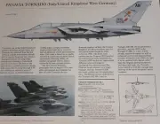 Panavia Tornado Aircraft Picture Out of Print Article Spec Sheet Wall Art Decor