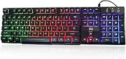 Rii RK100+ Multiple Color Rainbow LED Backlit Large Size USB Wired Mechanical Feeling Multimedia PC Gaming Keyboard,Office Keyboard for Working or Primer Gaming,Office Device