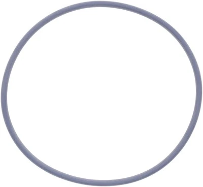 Engine Water Pump Gasket Victor Reinz For 1996-2018 Ford Mustang (for: Ford)