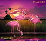 20oz Sublimation Tumbler Wrap Pink Flamingos Ready To Press Print