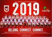 ST GEORGE ILLAWARRA DRAGONS TEAM POSTER,NRL RUGBY,DOGS RABBITOHS PANTHERS 5