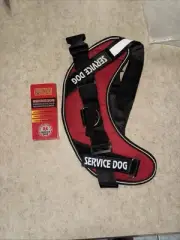 Pelto SERVICE DOG ID TAG + 50 ADA Information Cards & Medium Harness