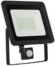 LED Floodlight PIR Motion Sensor 10W-100W Security Flood Lights Outdoor 220V-240V IP66 Cool White (10W 6000K)