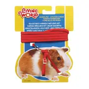 Living World Guinea Pig Harness Lead Set Red