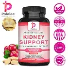 Kidney Support - with Cranberry, Astragals - Kidney Detox and Bladder Health
