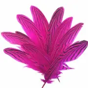 Under 6" Silver Pheasant Tail Feather x 10 pcs - Cerise