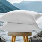 Canada Goose Down Bed Pillows 1050 Fill Power Sleep Pillows with Soft 600 Thr...