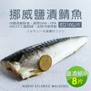 築地一番鮮-厚片超大油質豐厚挪威薄鹽鯖魚8片免運組(210g片)