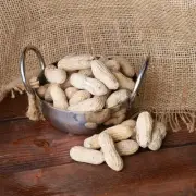 Roasted Salted In-Shell Peanuts Bulk 25 lb Snack Nuts Shell-On [1-Day Shipping]