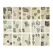 Poppy Crafts Vintage Scrap Paper - Flora 30pcs