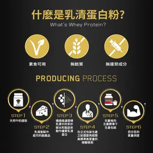 [美國ON] 金牌乳清蛋白 5磅 奶茶口味 Whey 100% 乳清 高蛋白 健身 效期2024/12