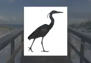 Heron Reusable Stencil (Many Sizes)