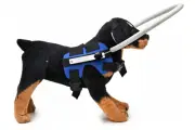 Ring Harness for Dog, Adjustable Dog Ring, Bumper Guards for Dogs Blue Small
