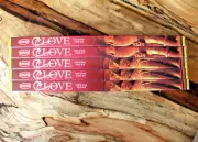 40 Sticks 5 boxes LOVE sweet Aphrodisiac Spiritual Romantic Incense Insence HEM