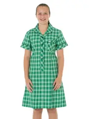 Green Check Dress