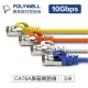 ☆電子花車☆POLYWELL 寶利威爾 CAT6A S/STP 黑色 2M 高速網路線 RJ-45 網路線