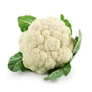 Organic Cauliflower Whole 2nds – Fresh, healthy organic delivery | Doorstep Organics