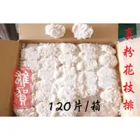 在飛比找蝦皮購物優惠-裹粉花枝排(30克x120片) 現貨/附發票/花枝排/120